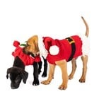 Chilly Dog Santa Sweater