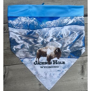Jackson Hole Reversible Bandana Tetons Bison