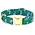 The Foggy Dog Tiger Queen Dog Collar