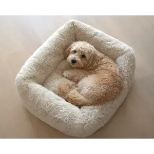 Bowsers Bowsers Fluffernutter Franklin Bed