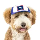 PupLid Wyoming Flag Trucker Hat