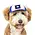 PupLid Wyoming Flag Trucker Hat