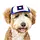 PupLid Wyoming Flag Trucker Hat