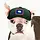 PupLid Wyoming Flag Trucker Hat