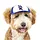 PupLid PBR Trucker Hat