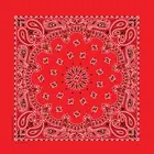 The Bandanna Co Bandanna Red  Paisley 22"