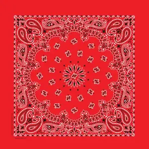 The Bandanna Co Bandanna Red  Paisley 22"