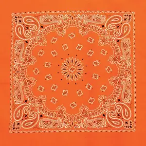 The Bandanna Co Bandanna Neon Orange Paisley 22"