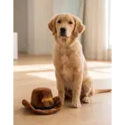 Brown Western Cowboy Hat toy