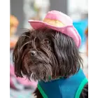 The Worthy Dog Worthy COWBOY PARTY Hat