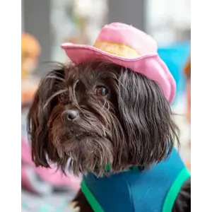 The Worthy Dog Worthy COWBOY PARTY Hat