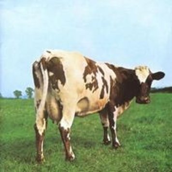 Pink Floyd Records Pink Floyd - Atom Heart Mother LP