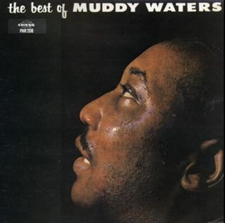 Wax Time Waters, Muddy - Best of... LP (180g)