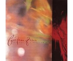 Cocteau Twins - Tiny Dynamine/Echoes in a Shallow Bay - LP