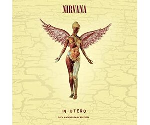 欧LP Nirvana In Utero GEF24536 GEFFEN /00260 Nirvana - In Utero Album - Rock Vinyl - Geffen Records