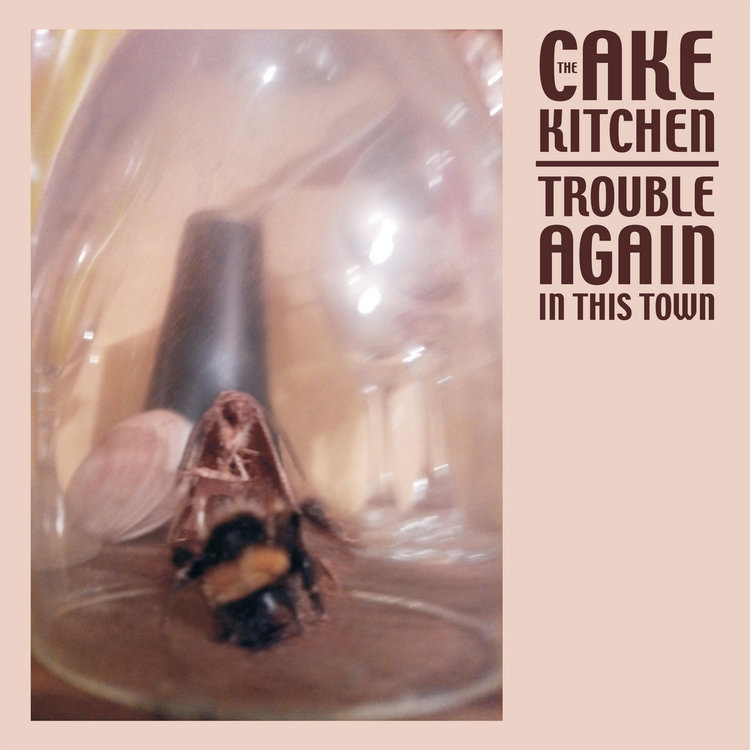 Cakekitchen, The - Trouble Again In This Town - LP