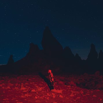 Dead Oceans Bridgers, Phoebe - Punisher LP
