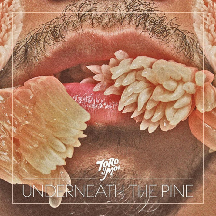 Toro y Moi - Live from Trona 2LP - Wax Trax Records