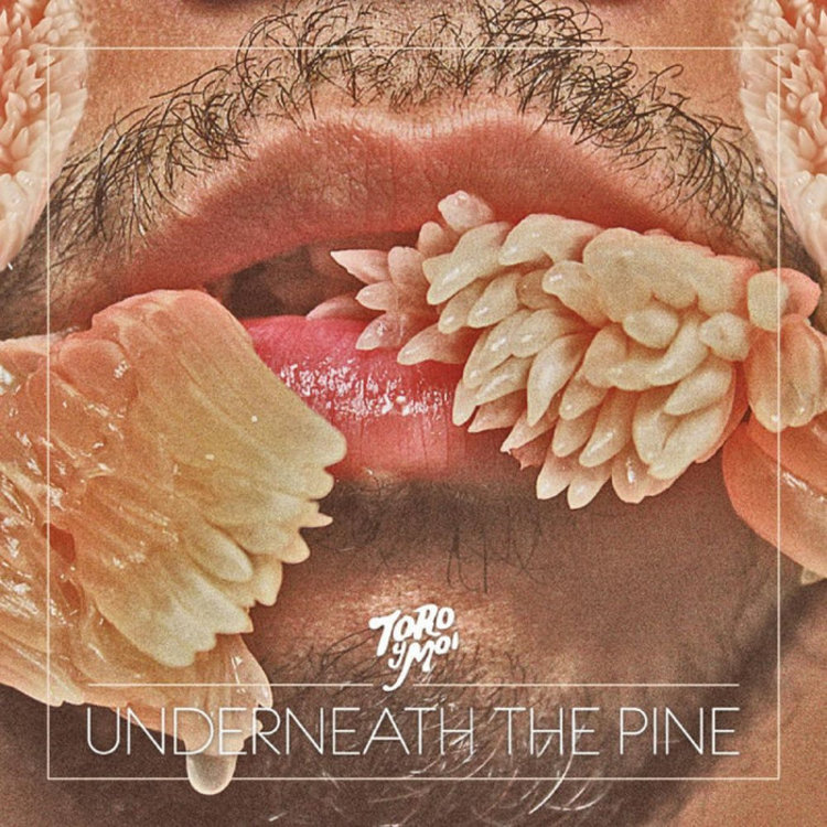 Carpark Records Toro y Moi - Underneath the Pine LP