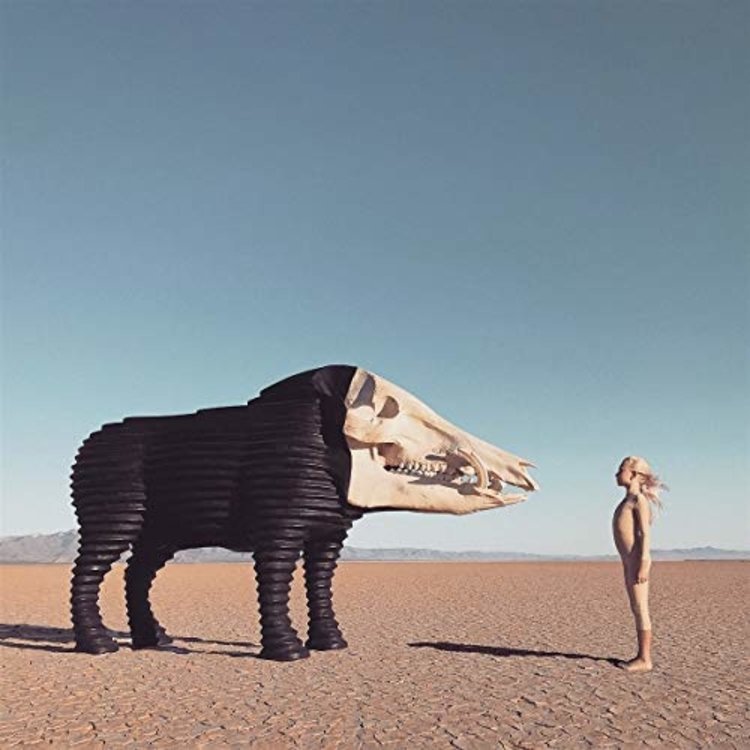 Man Man - Dream Hunting In The Valley  LP