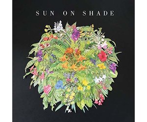 Sun On Shade - S/T LP - Wax Trax Records