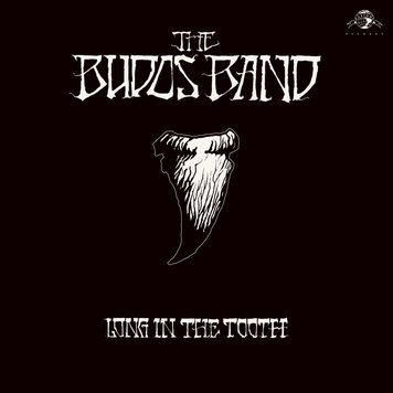 Budos Band, The - Long in the Tooth LP