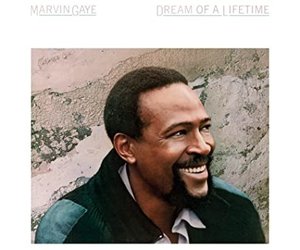 Gaye, Marvin - Dream Of A Lifetime LP (180g blue vinyl) - Wax Trax