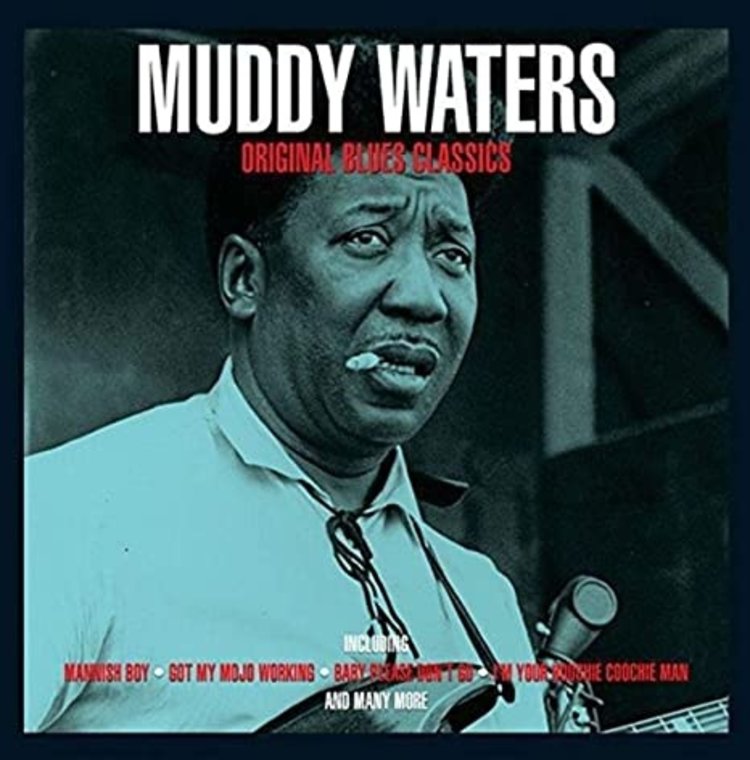 Not Now Waters, Muddy - Original Blues Classic LP