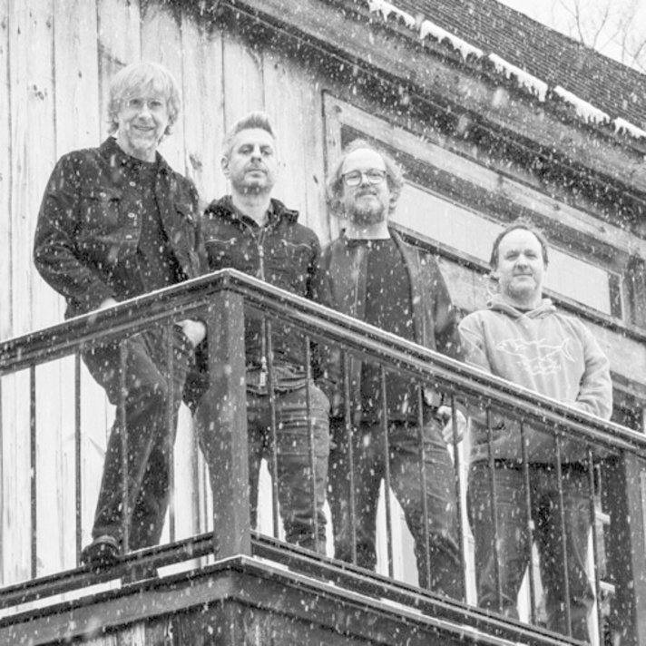 Phish - Farmhouse LP (color vinyl) - Wax Trax Records