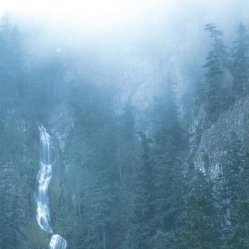 Wolves In The Throne Room - Diadem of 12 Stars 2LP