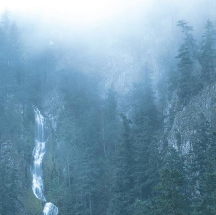 Wolves In The Throne Room - Diadem of 12 Stars 2LP