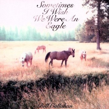 Drag City Callahan, Bill - Sometimes I Wish We Were an Eagle LP