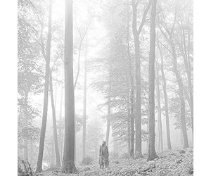 Swift, Taylor - folklore LP (ltd. ed. in the trees edition) - Wax