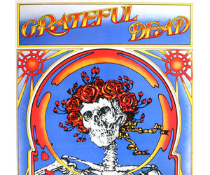 Grateful Dead - The Best of the Grateful Dead (180g Vinyl 2LP