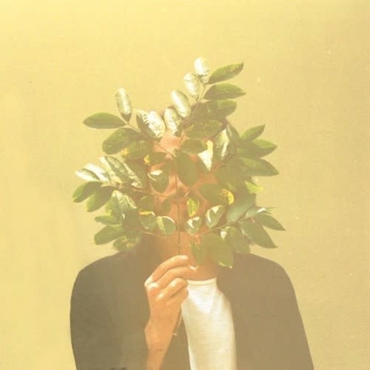 Roche Musique French Kiwi Juice -  French Kiwi Juice LP