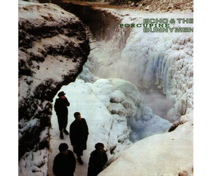 Echo & The Bunnymen - Porcupine LP (180g rmst brick & mortar ed