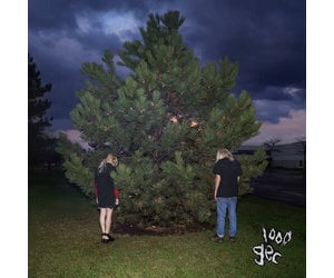 100 Gecs - 1000 Gecs LP - Wax Trax Records