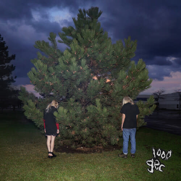 Dog Show 100 Gecs - 1000 Gecs LP