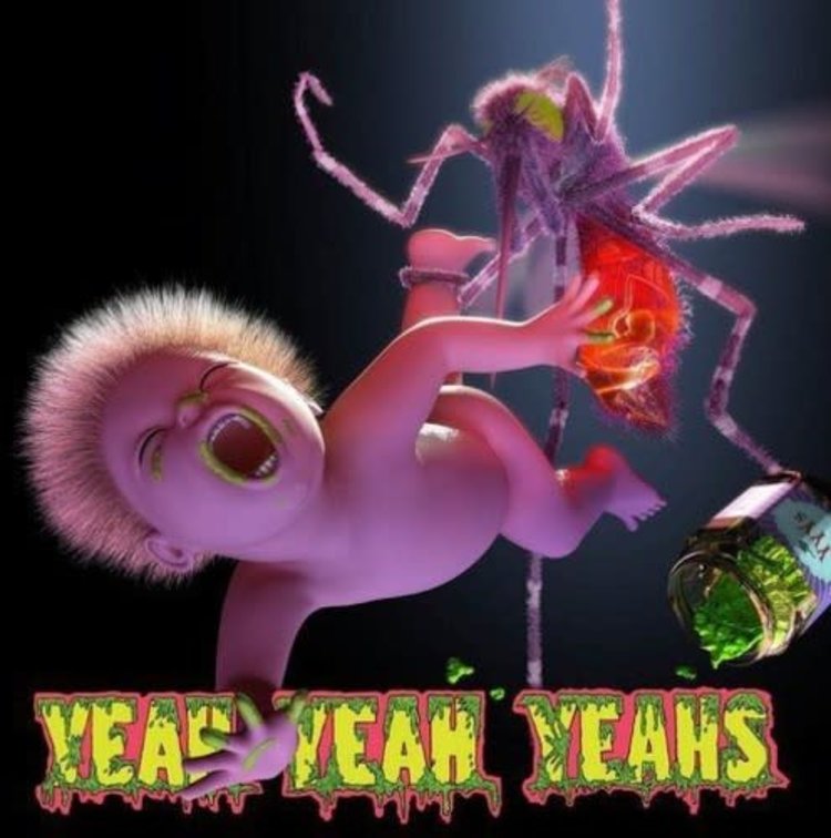 Interscope Yeah Yeah Yeahs - Mosquito LP