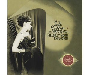 未使用盤 The Hillbilly Moon Explosion / LP stomaservice.uz