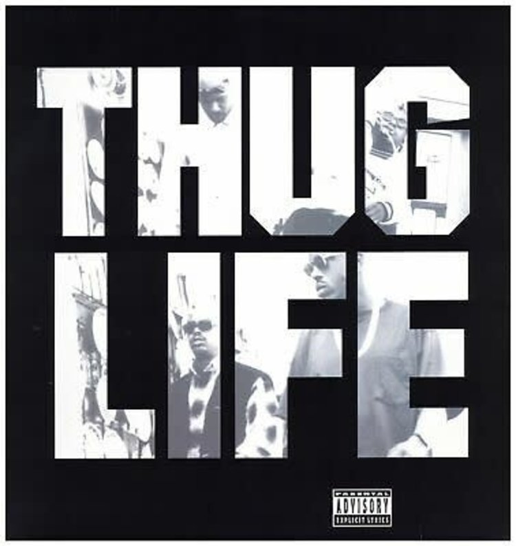 Interscope Thug Life - Volume 1 LP