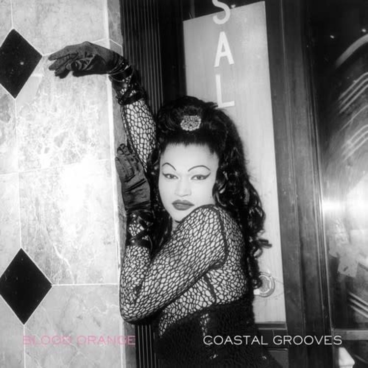 Domino Blood Orange - Coastal Grooves LP