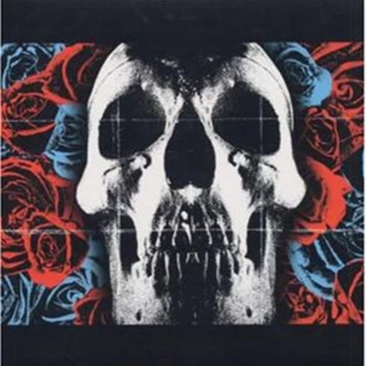 Deftones, The - Private Music CASSETTE (alt cover) - Wax Trax Records