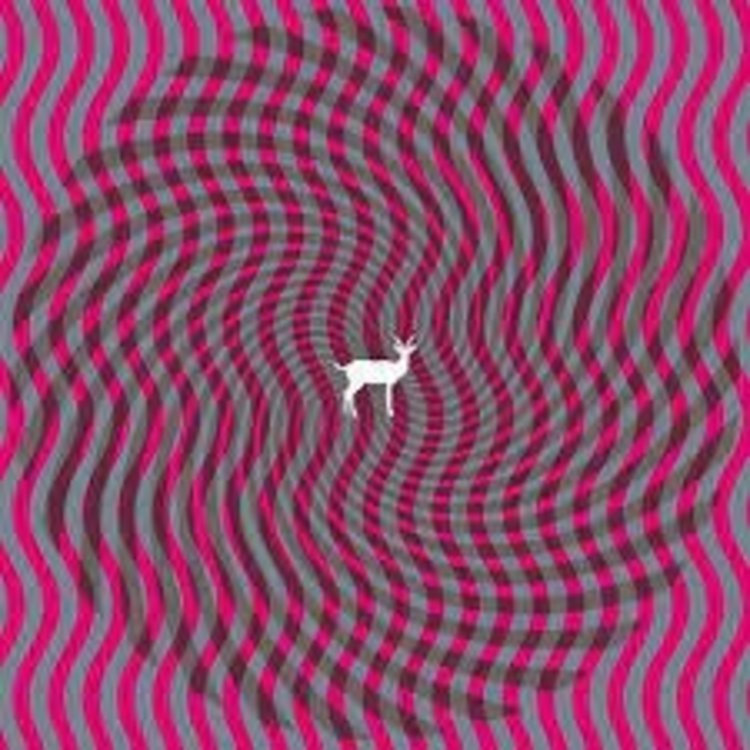 Kranky Deerhunter - Cryptograms / Flourescent Grey 2LP