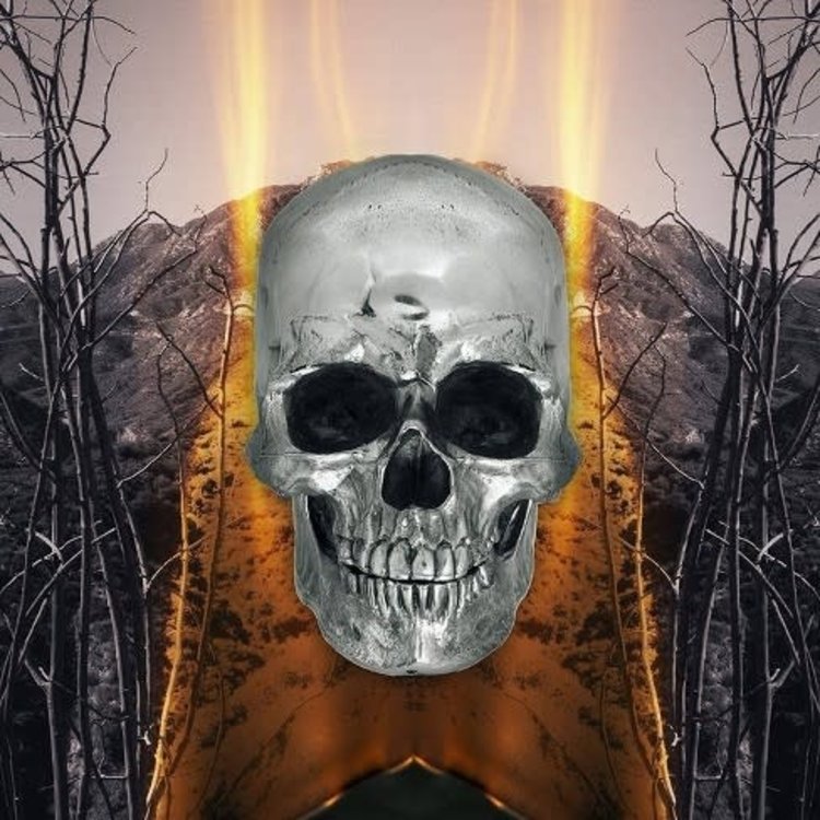 Neverly Boys - Dark Side of Everything LP