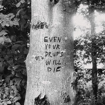 Secretly Canadian Swift, Richard - Even Your Drums Will Die: Live LP