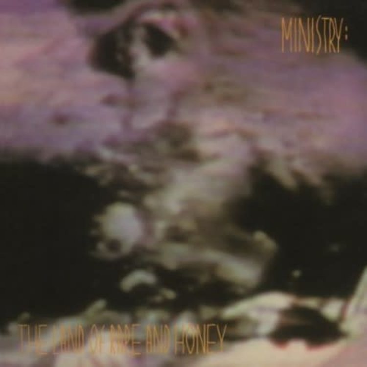 Music on Vinyl Ministry - The Land of Rape and Honey LP (180g)