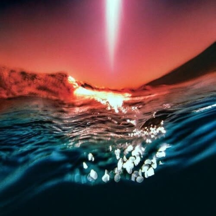 NInja Tune Bonobo - Fragments 2LP (140g)