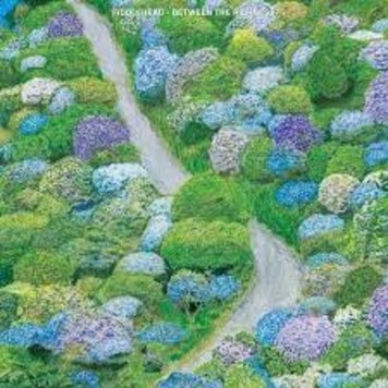 Run For Cover Fiddlehead - Between the Richness LP (blue/clear vinyl)