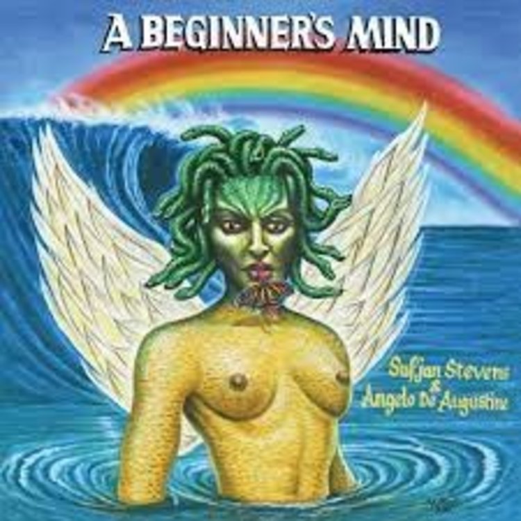 Asthmatic Kitty Stevens, Sufjans - A Beginner's Mind LP (gold vinyl)